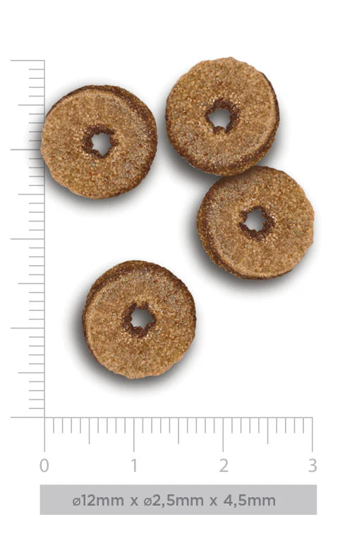 Harper & Bone Ocean Wonders Adult 5 kg