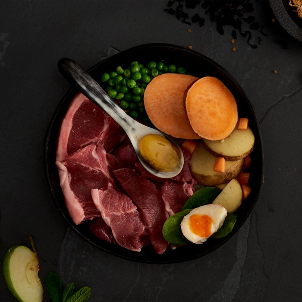 Canagan Grain Free Dog Lamb 2 KG